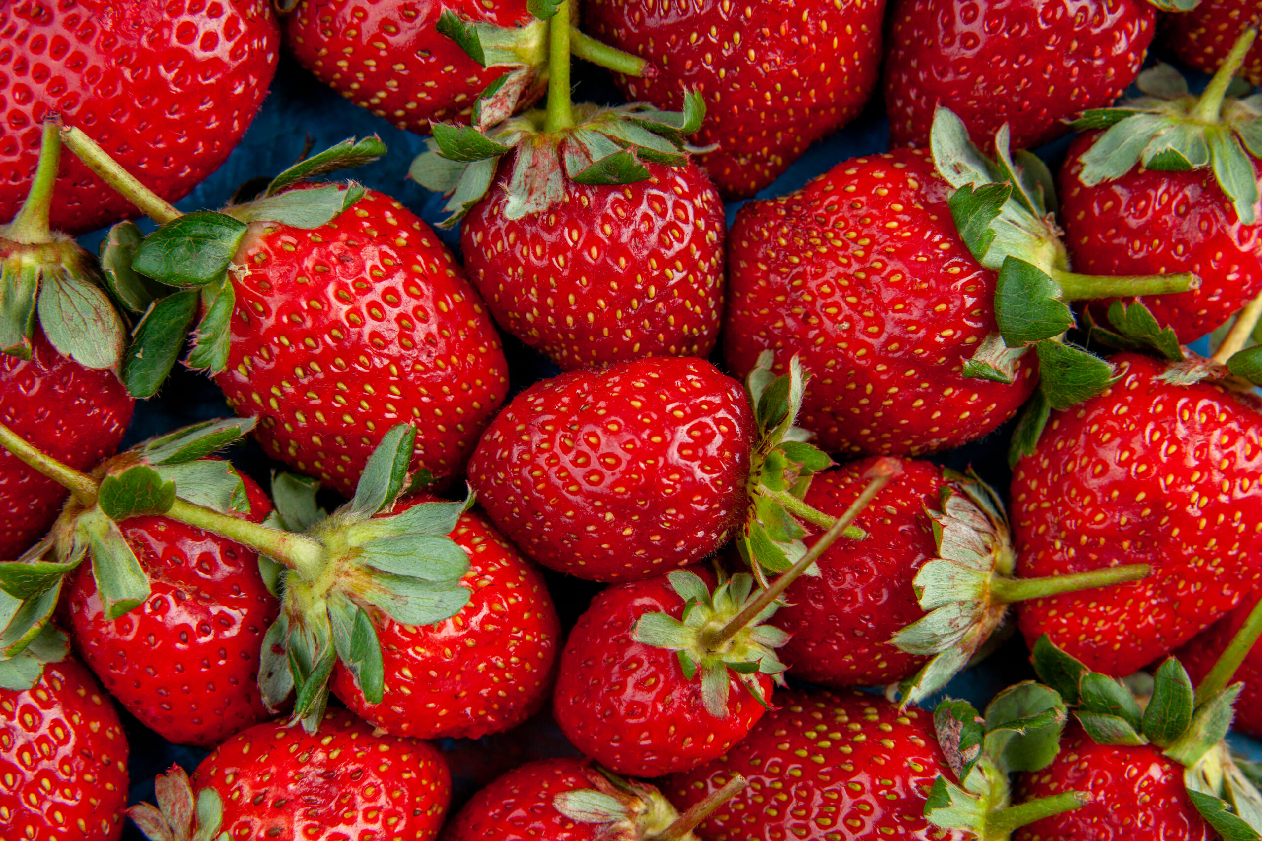 top-view-red-strawberries-blue-background